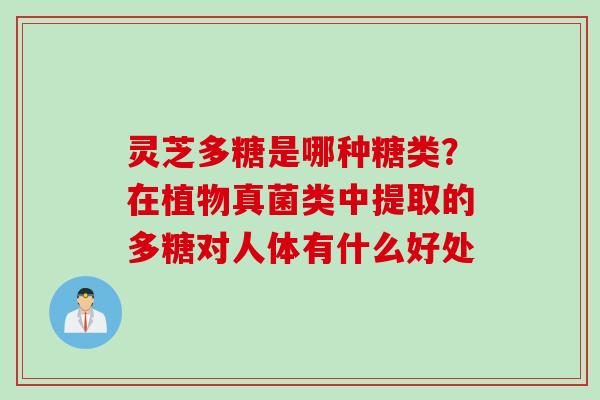 灵芝多糖是哪种糖类?在植物真菌类中提取的多糖对人体有什么好处 灵芝多糖是哪种糖类?在植物真菌类中提取的多糖对人体有什么好处