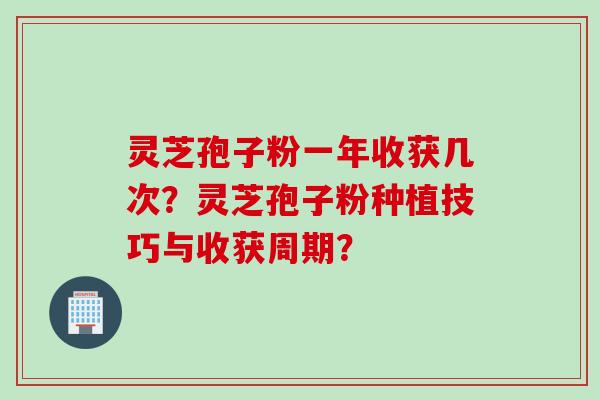 灵芝孢子粉一年收获几次？灵芝孢子粉种植技巧与收获周期？