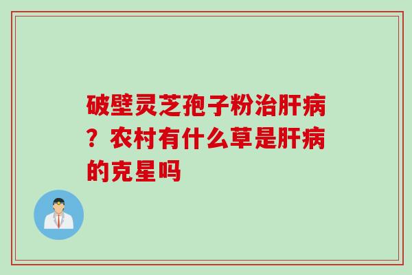 破壁灵芝孢子粉治肝病？农村有什么草是肝病的克星吗