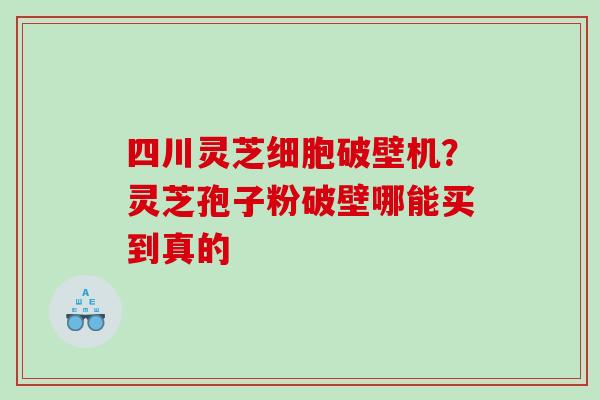 四川灵芝细胞破壁机？灵芝孢子粉破壁哪能买到真的