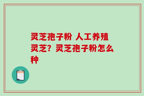 灵芝孢子粉 人工养殖灵芝？灵芝孢子粉怎么种
