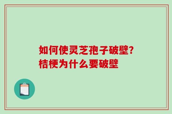 如何使灵芝孢子破壁？桔梗为什么要破壁