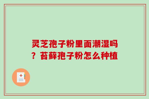 灵芝孢子粉里面潮湿吗？苔藓孢子粉怎么种植