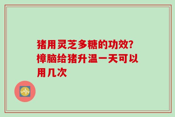猪用灵芝多糖的功效？樟脑给猪升温一天可以用几次
