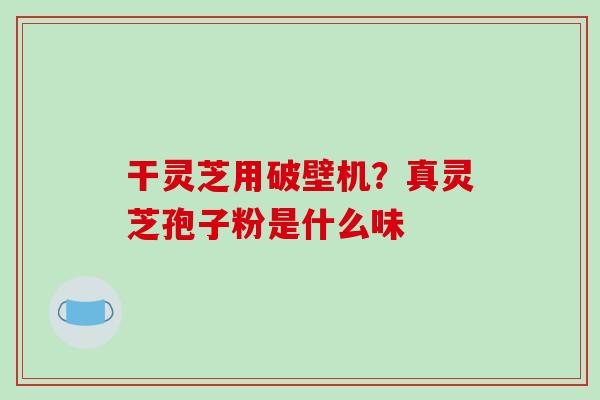 干灵芝用破壁机？真灵芝孢子粉是什么味