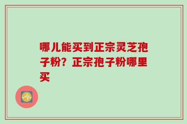 哪儿能买到正宗灵芝孢子粉？正宗孢子粉哪里买