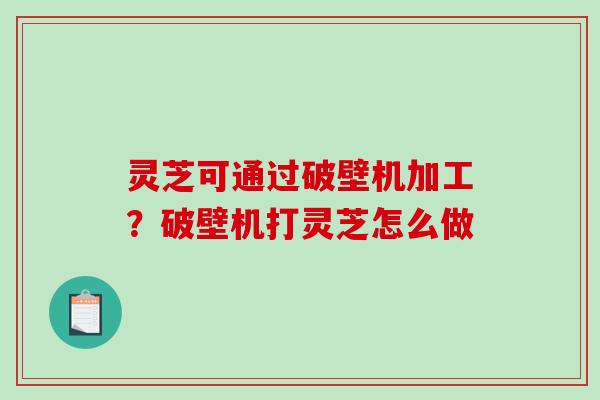 灵芝可通过破壁机加工？破壁机打灵芝怎么做