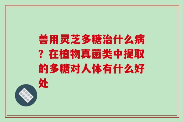 兽用灵芝多糖治什么病？在植物真菌类中提取的多糖对人体有什么好处