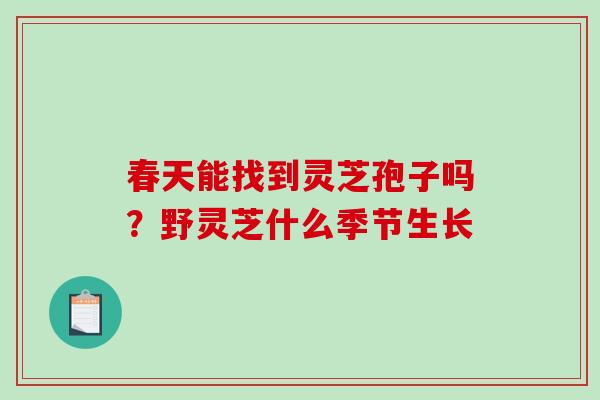 春天能找到灵芝孢子吗？野灵芝什么季节生长