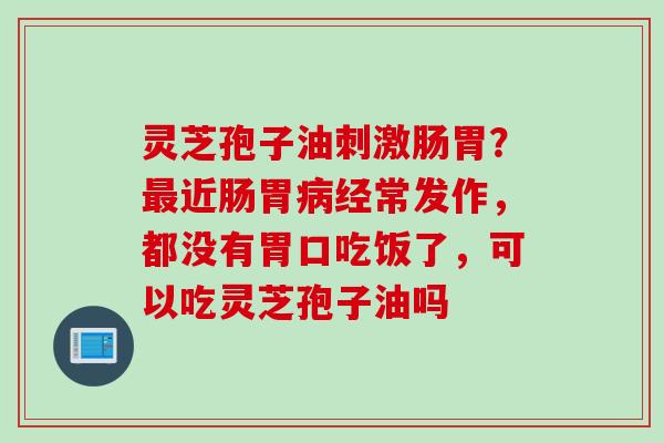 灵芝孢子油刺激肠胃？最近肠胃病经常发作，都没有胃口吃饭了，可以吃灵芝孢子油吗
