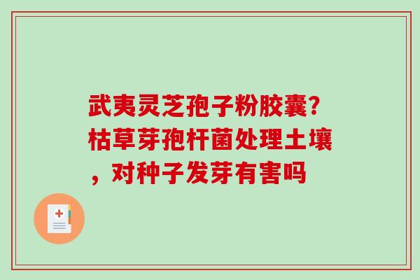 武夷灵芝孢子粉胶囊？枯草芽孢杆菌处理土壤，对种子发芽有害吗