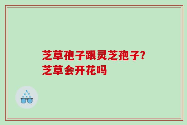 芝草孢子跟灵芝孢子？芝草会开花吗