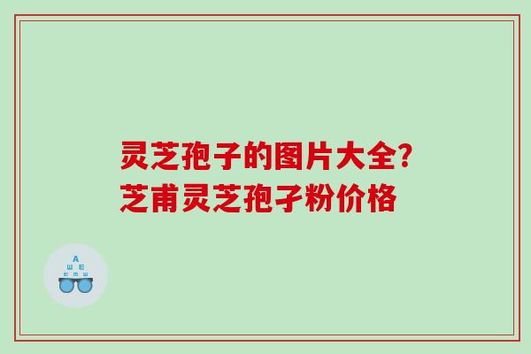 灵芝孢子的图片大全？芝甫灵芝孢孑粉价格