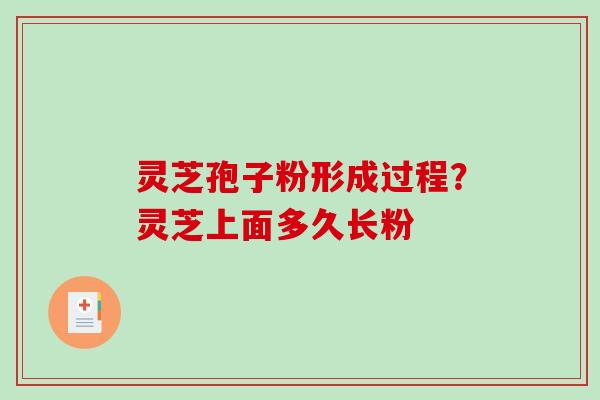 灵芝孢子粉形成过程？灵芝上面多久长粉