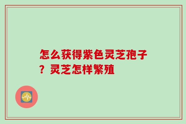 怎么获得紫色灵芝孢子？灵芝怎样繁殖