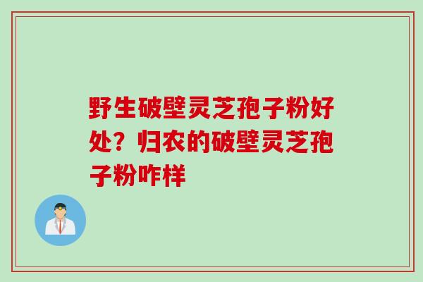 野生破壁灵芝孢子粉好处？归农的破壁灵芝孢子粉咋样