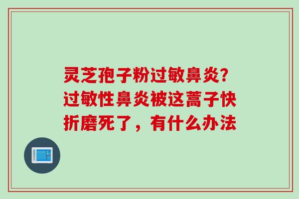 灵芝孢子粉过敏鼻炎？过敏性鼻炎被这蒿子快折磨死了，有什么办法