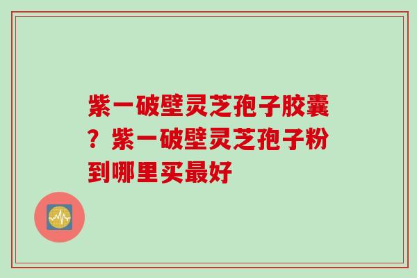 紫一破壁灵芝孢子胶囊？紫一破壁灵芝孢子粉到哪里买好