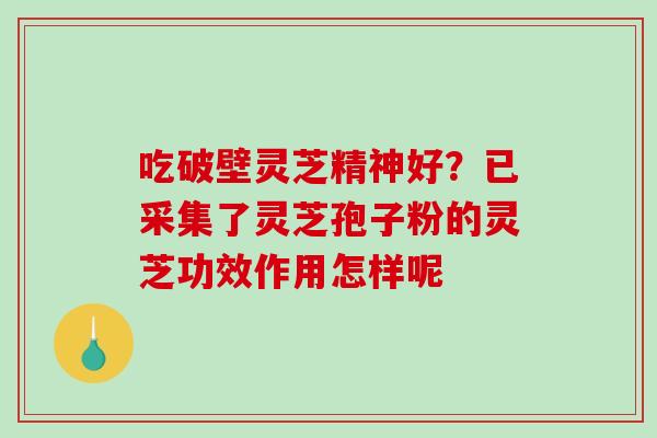 吃破壁灵芝精神好？已采集了灵芝孢子粉的灵芝功效作用怎样呢
