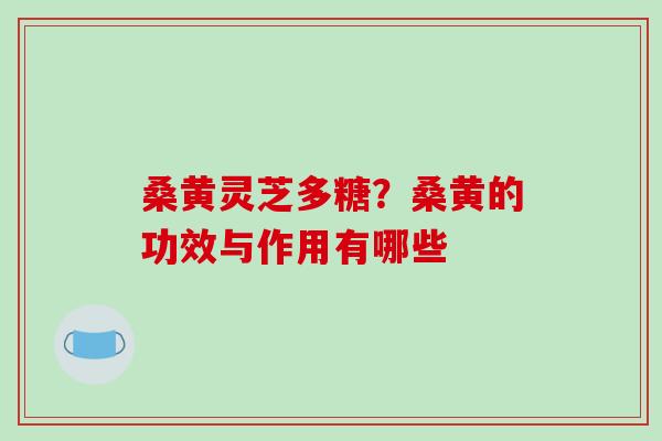 桑黄灵芝多糖？桑黄的功效与作用有哪些