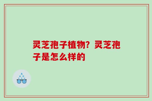 灵芝孢子植物？灵芝孢子是怎么样的