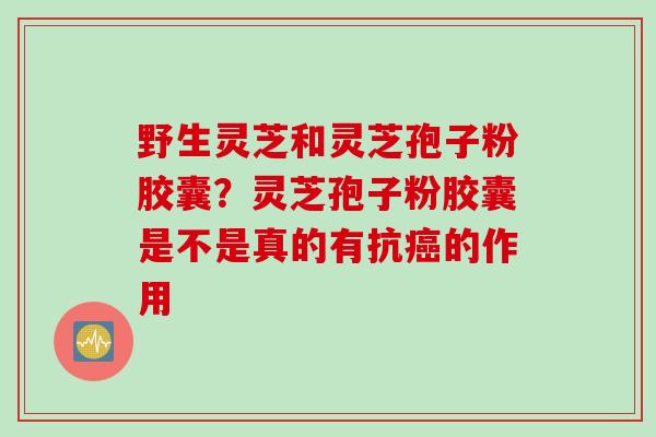 野生灵芝和灵芝孢子粉胶囊?灵芝孢子粉胶囊是不是真的有抗的作用 野生灵芝和灵芝孢子粉胶囊?灵芝孢子粉胶囊是不是真的有抗的作用