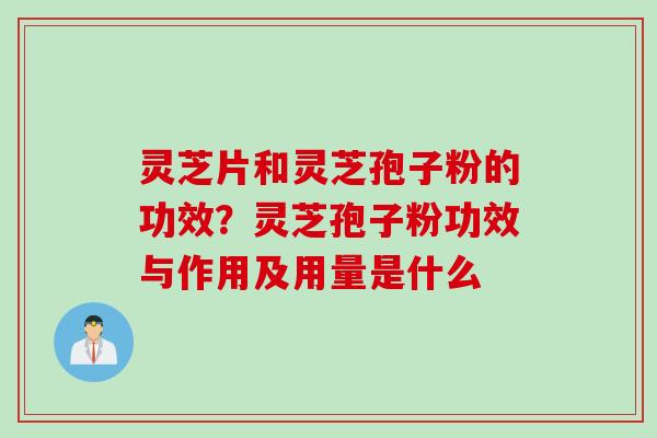 灵芝片和灵芝孢子粉的功效？灵芝孢子粉功效与作用及用量是什么