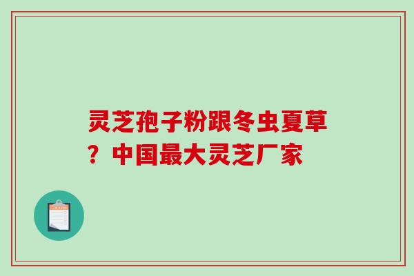 灵芝孢子粉跟冬虫夏草？中国最大灵芝厂家