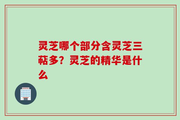 灵芝哪个部分含灵芝三萜多？灵芝的精华是什么
