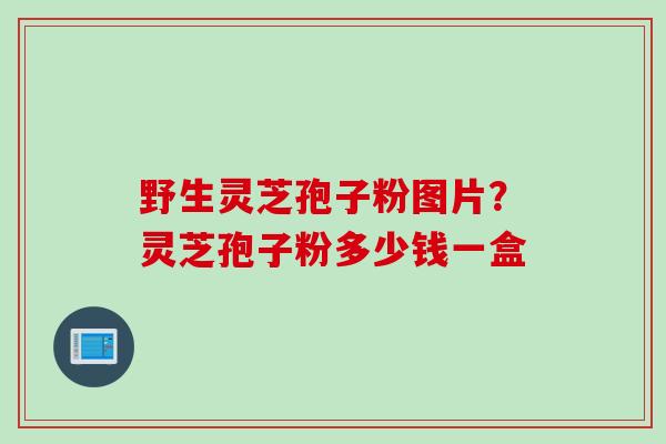 野生灵芝孢子粉图片？灵芝孢子粉多少钱一盒