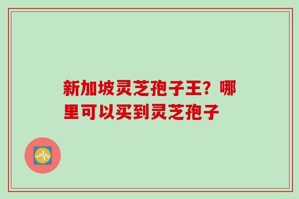新加坡灵芝孢子王？哪里可以买到灵芝孢子