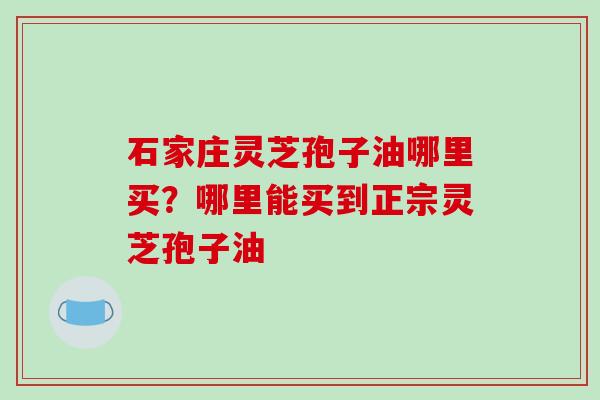 石家庄灵芝孢子油哪里买？哪里能买到正宗灵芝孢子油