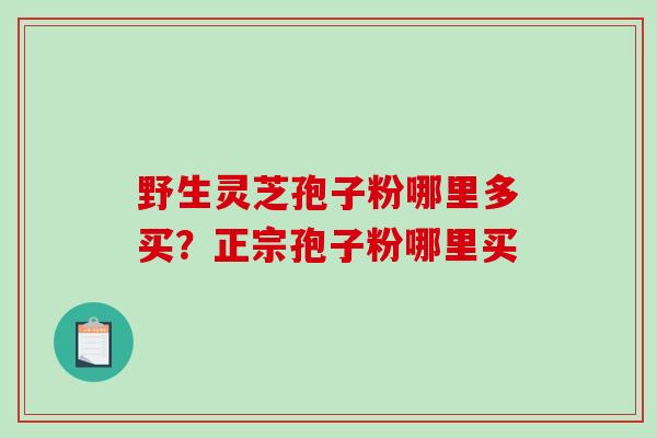 野生灵芝孢子粉哪里多买？正宗孢子粉哪里买