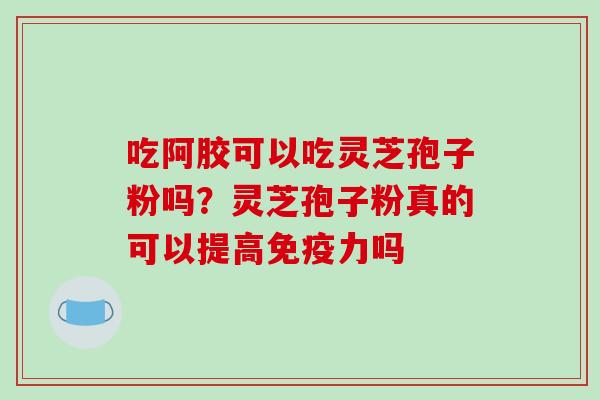 吃阿胶可以吃灵芝孢子粉吗？灵芝孢子粉真的可以提高免疫力吗