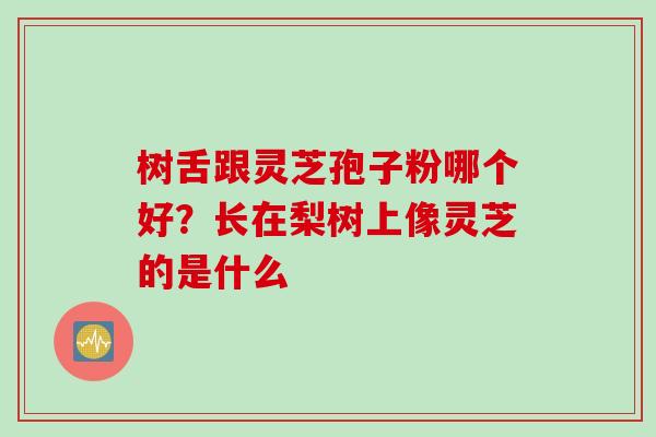 树舌跟灵芝孢子粉哪个好？长在梨树上像灵芝的是什么