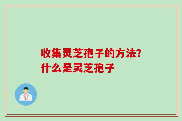 收集灵芝孢子的方法？什么是灵芝孢子