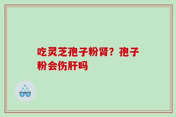 吃灵芝孢子粉肾？孢子粉会伤肝吗