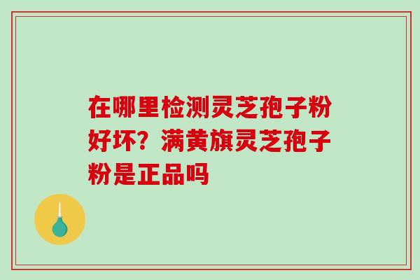 在哪里检测灵芝孢子粉好坏？满黄旗灵芝孢子粉是正品吗