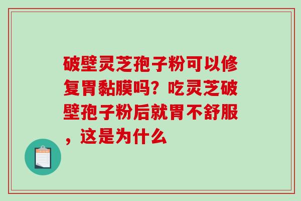 破壁灵芝孢子粉可以修复胃黏膜吗？吃灵芝破壁孢子粉后就胃不舒服，这是为什么