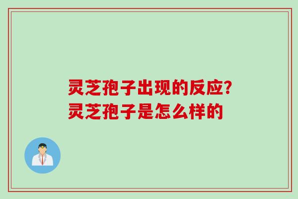 灵芝孢子出现的反应？灵芝孢子是怎么样的