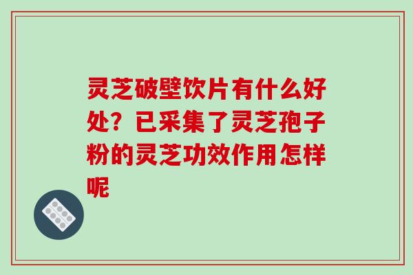 灵芝破壁饮片有什么好处？已采集了灵芝孢子粉的灵芝功效作用怎样呢