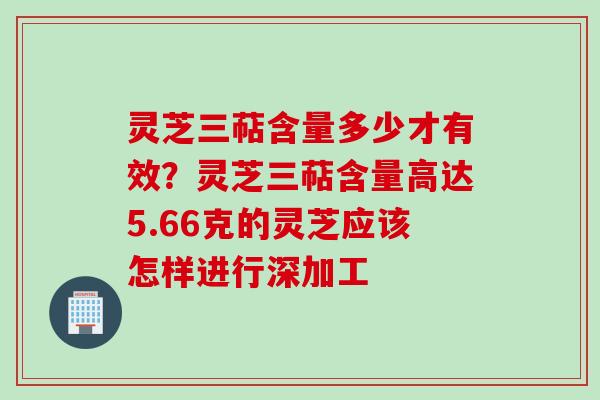 灵芝三萜含量多少才有效？灵芝三萜含量高达5.66克的灵芝应该怎样进行深加工
