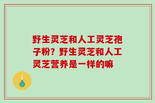 野生灵芝和人工灵芝孢子粉？野生灵芝和人工灵芝营养是一样的嘛