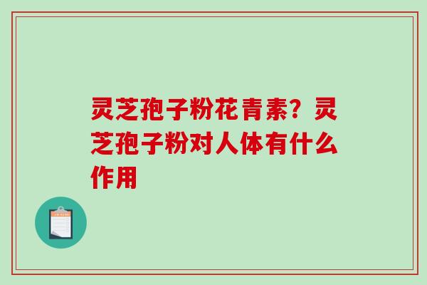 灵芝孢子粉花青素？灵芝孢子粉对人体有什么作用