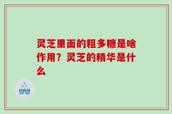 灵芝里面的粗多糖是啥作用？灵芝的精华是什么