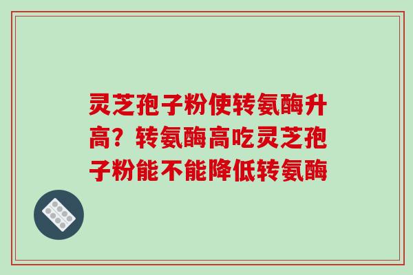 灵芝孢子粉使转氨酶升高？转氨酶高吃灵芝孢子粉能不能降低转氨酶