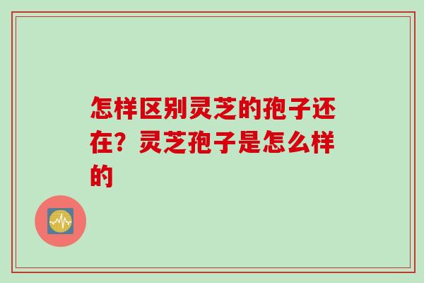 怎样区别灵芝的孢子还在？灵芝孢子是怎么样的