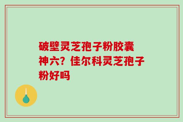 破壁灵芝孢子粉胶囊 神六？佳尔科灵芝孢子粉好吗