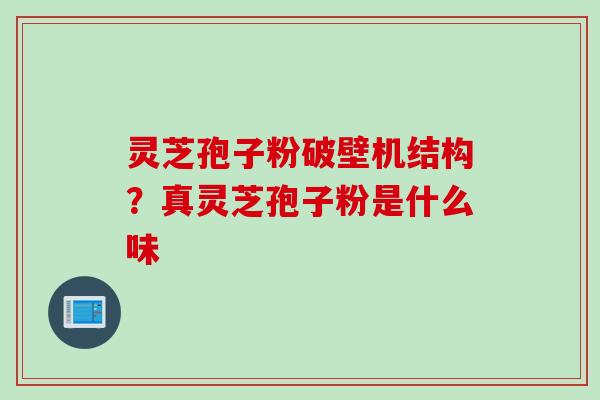 灵芝孢子粉破壁机结构？真灵芝孢子粉是什么味