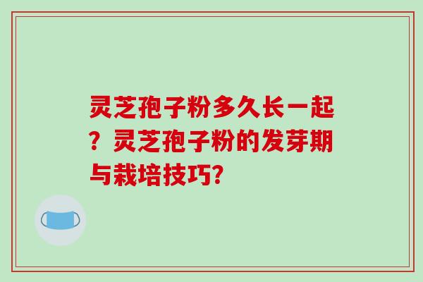 灵芝孢子粉多久长一起？灵芝孢子粉的发芽期与栽培技巧？